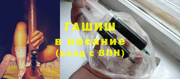 прущие грибы Новозыбков
