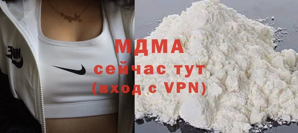 прущие грибы Новозыбков