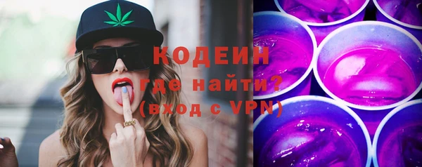 прущие грибы Новозыбков