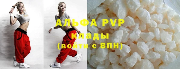 прущие грибы Новозыбков