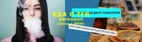 прущие грибы Новозыбков