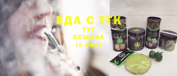 прущие грибы Новозыбков