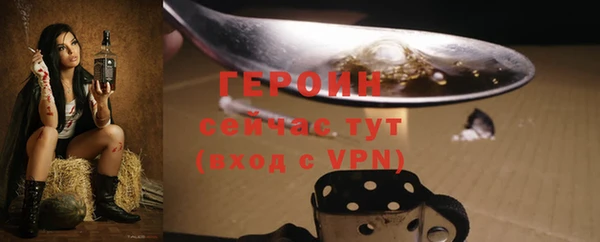 прущие грибы Новозыбков