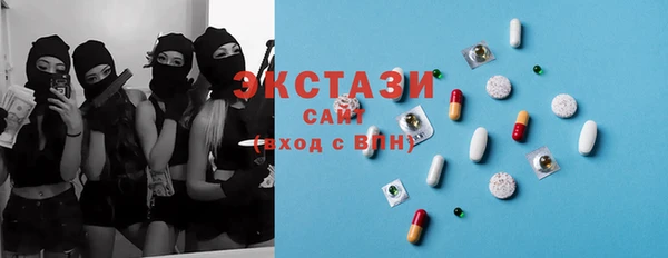 прущие грибы Новозыбков