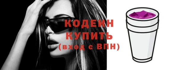 прущие грибы Новозыбков