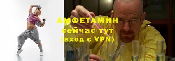 прущие грибы Новозыбков