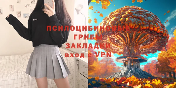 прущие грибы Новозыбков