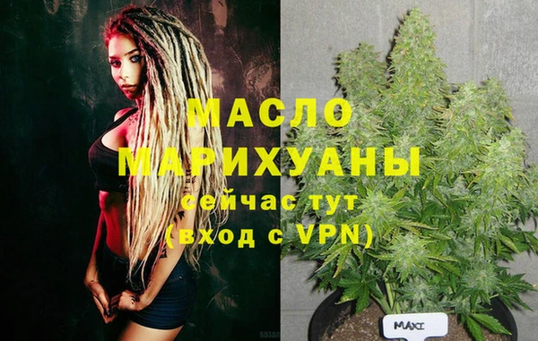 прущие грибы Новозыбков