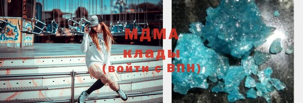 прущие грибы Новозыбков