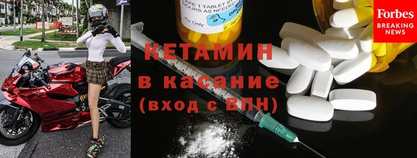 прущие грибы Новозыбков