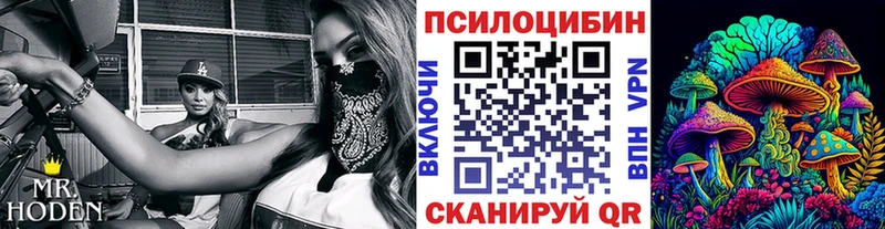 Псилоцибиновые грибы Magic Shrooms  сайты даркнета клад  Красный Кут 